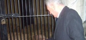 Подарки – отдарки: Омельченко хочет забрать Потапа и Настю из зоопарка