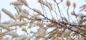 Чем жил Киев: шесть первых голов на 