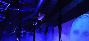 Дельфин в Киеве показал ужасающий видеоряд и ушел, не попрощавшись