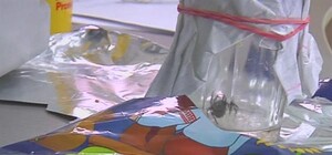 Огромного паука, который покусал девочку из Лутугино, отпустят в лес весной