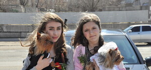 Запорожцев научат защищать своих собак от догхантеров