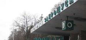 Питомцы столичного зоопарка питаются лучше, чем киевляне – бананами за 20 гривен и картошкой – за шесть