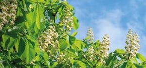 Попов презентовал стратегию развития Киева: до 2025 года киевлянам обещают экономическое благополучие и европейский комфорт