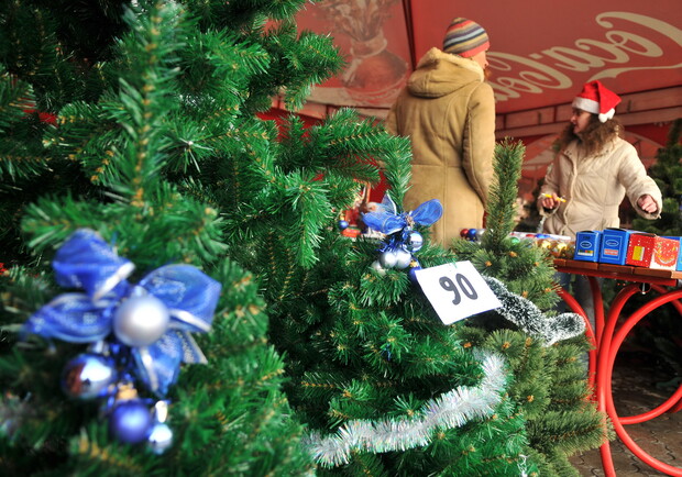 Пока в Киеве начали продавать только искусственные елки. Фото Артема Пастуха