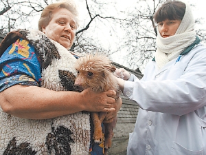 Ветеринары ходят по домам и квартирам и делают прививки животным. Фото Антона Лущика