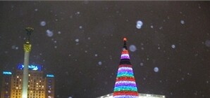 Год Кролика для Киева стал 