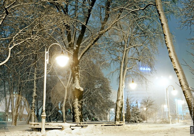 Зимняя сказка в парке Славы. Фото: slawa.livejournal.com