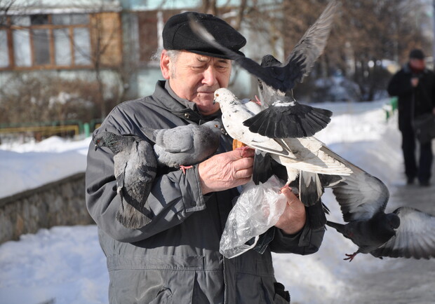 Оболонские пенсионеры не оставят птичек голодными. Фото автора