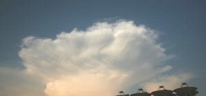 Иностранцы будут из Крыма общаться с инопланетянами