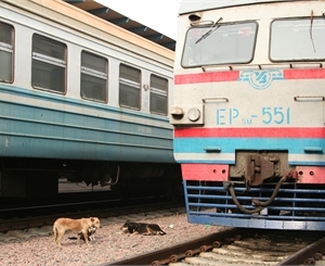 Поезда ринутся по четырем дополнительным маршрутам. Фото Максима Люкова