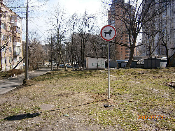В Киеве определили места для выгула собак. Фото с сайта КГГА