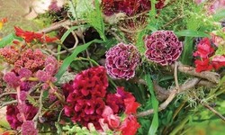 Справочник - 1 - Flower Show, школа флористики