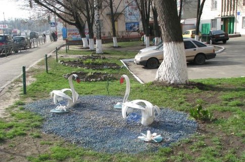 Новость - События - На улице, по которой Янукович ездил на работу, теперь живут белые лебеди