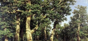 Киевлянам покажут живопись и графику Шишкина