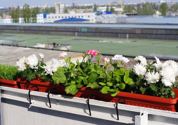 С цветами ваш балкон будет выглядеть гораздо свежее и ярче! Фото Владислава Вознюка