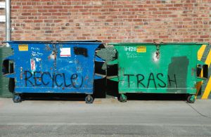 Мусорные баки для раздельного сбора отходов могут вновь появится в вашем дворе. Фото с сайта sxc.hu