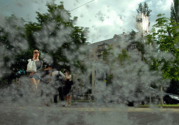 Тополиный пух досаждает киевлянам. Фото Дмитрия Никонорова