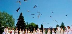 В Крыму пройдет парад зарубежных и отечественных невест