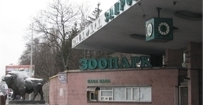 Киевский зоопарк, возможно, станет разделенным на части. Фото Ольги Кромченко