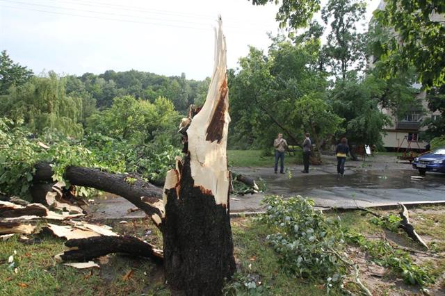 Вчерашний ураган поломал деревья и раздавил машины. Фото Максима Люкова 