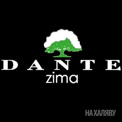 Справочник - 1 - Dante Zima