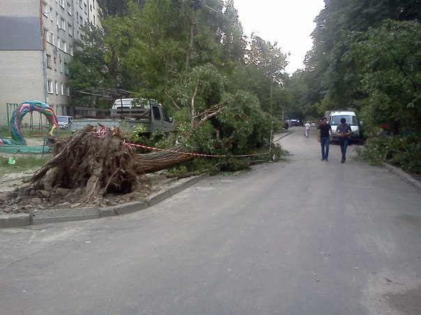Ураган с корнем вырывал деревья. Фото из личного архива Никиты Тищенко