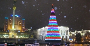 Какую елку выберут сами киевляне в этом году? Фото Ольги Кромченко
