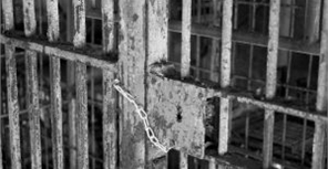 Генпрокурор удивлен: число зэков в Донецке превысило все нормы