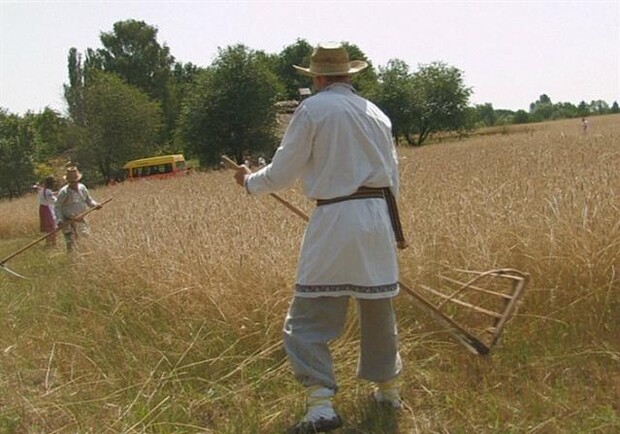 В Пирогово намечается массовая жатва. Присоединяйтесь! Фото zhnyvafest.com