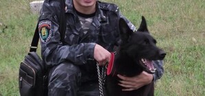 В Донецке грозные собаки-тюремщики показали, на что способны 