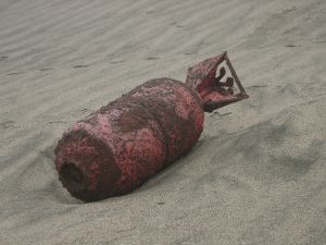 В Пуще-Водице нашли огромную бомбу. Фото с сайта sxc.hu
