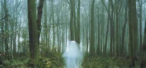 Плачущий мальчик, таинственная леди в белом и столбы из света: самые известные легенды о призраках Крыма