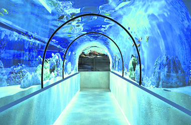 В декабре обещают открыть еще один аквариум. Фото: segodnya.ua