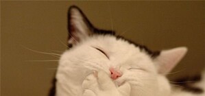 Запорожье смеется: ТОП-10 приколов о нашем парадоксальном городе