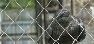 7 самых необычных двориков Киева