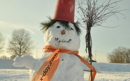 Собирайте команду и лепите веселых снеговиков! Фото: Анна Крамаренко