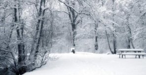 Завтра в Киеве опять пойдет снег. Фото с сайта kafanews.com