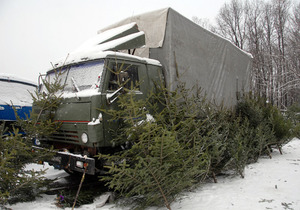 В Киеве задержали водителя "КамАЗа", который перевозил елки-неленалы. Фото Максима Стеценко с сайта korrespondent.net