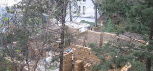 На ЮБК застраивают Мисхорский парк