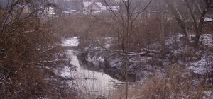 Беличанский лес может стать национальным парком