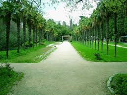 На ЮБК в знаменитом Мисхорском парке строят особняк