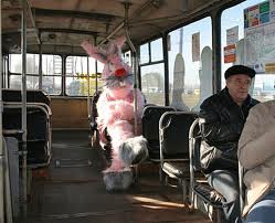 В крымских троллейбусах контролеры будут штрафовать 