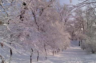 Завтра холодно. Фото: segodnya.ua