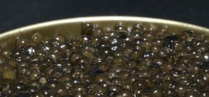 Представителя ХК 