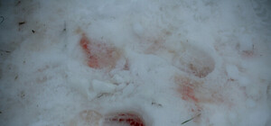 Милиция нашла свидетелей убийства на Тираспольской