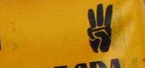 Столичным националистам придет подкрепление из Житомира 