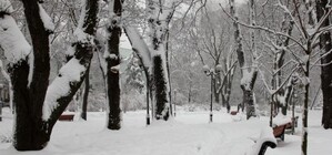 В столице реконструируют зеленые зоны