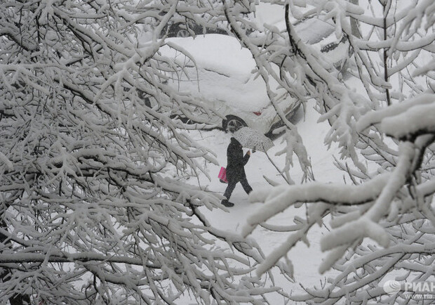 Чистить снег стали практически сразу, как он выпал. Фото: ria.ru
