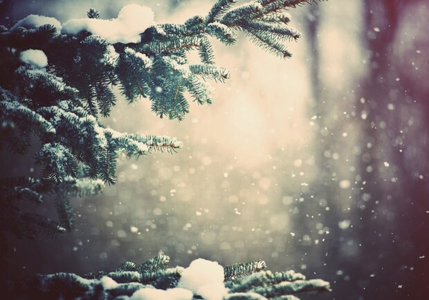 Вечером снег. Фото: nastol.com.ua