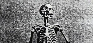 На аукционе Sotheby's выставят золотой скелет, созданный одесским ювелиром